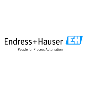 Logo Endress & Hauser